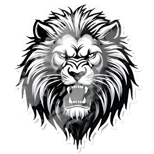 Team Image